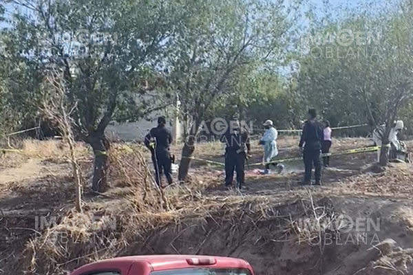 La asesinaron a golpes en su propia casa
