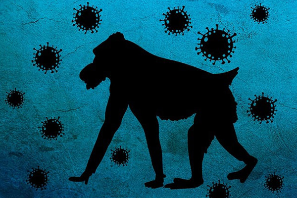 Termina emergencia por viruela del mono, ¿cómo evolucionó esta enfermedad?