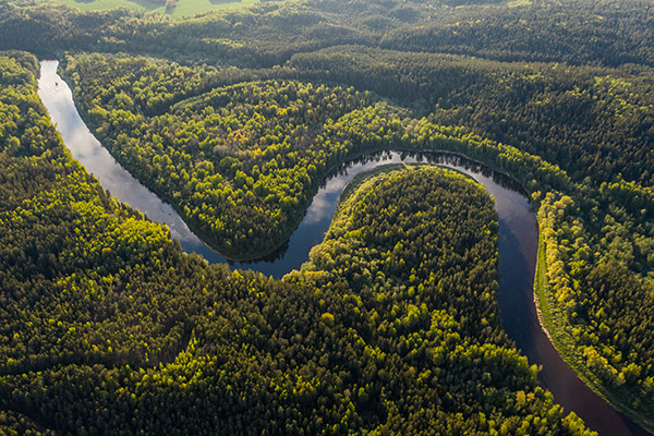 Deforestación en la Amazonía brasileña cayó casi un 70 % en abril