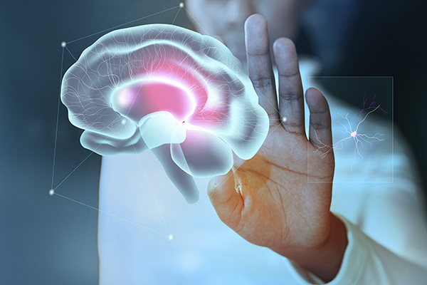 La salud intestinal podría estar asociada al desarrollo de Alzheimer