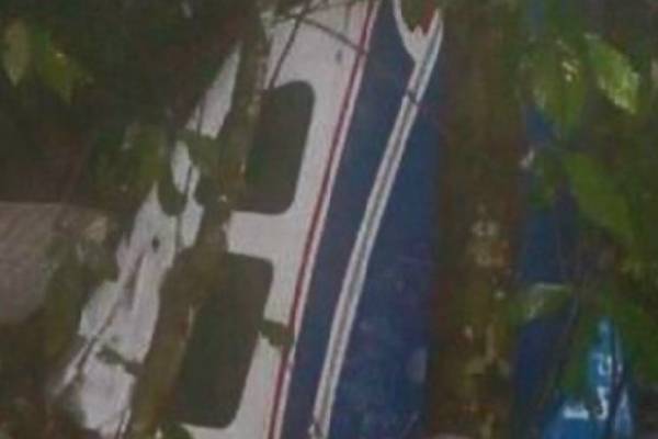 Encuentran con vida a cuatro niños que sobrevivieron a un avionazo
