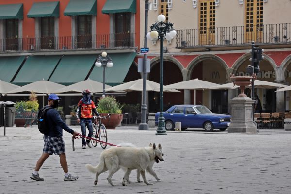 Evitar actividades al aire libre y proteger a las mascotas, recomendaciones por ceniza
