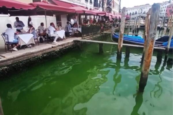 ¿Qué provocó el tono verde en el agua del canal de Venecia?