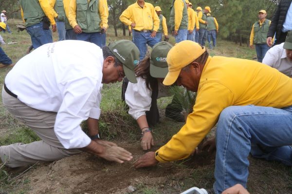 Sergio Salomón inicia en Tianguismanalco el Programa de Reforestación 2023- 2024