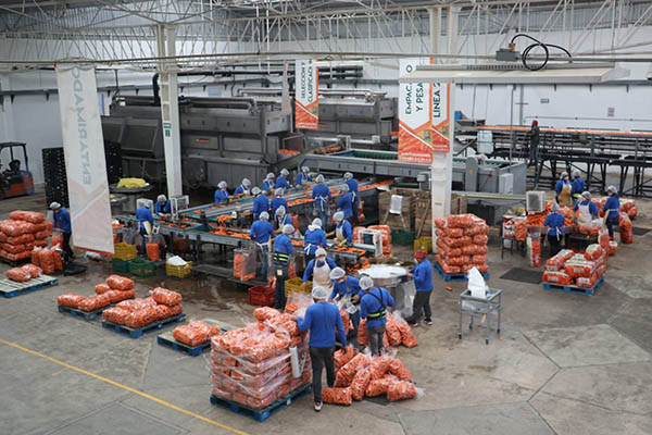 Crece industria manufacturera en Puebla 12% en producción y ventas: Economía