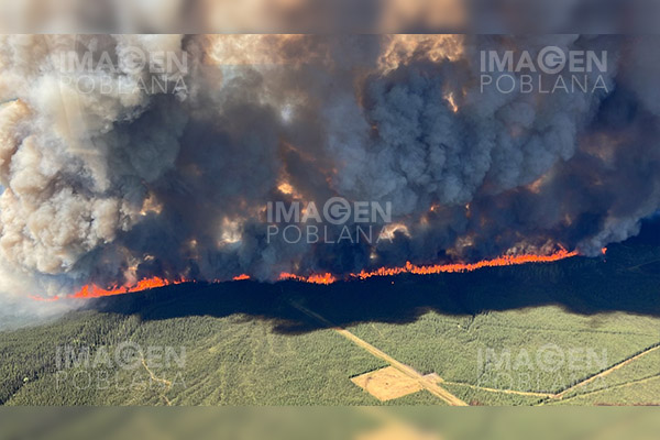 Incendios forestales en Canadá arrasan con 5.3 millones de hectáreas