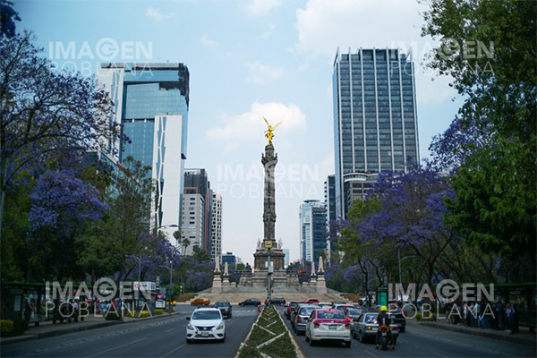 Fitch ratifica nota soberana de México en "BBB-" con perspectiva estable
