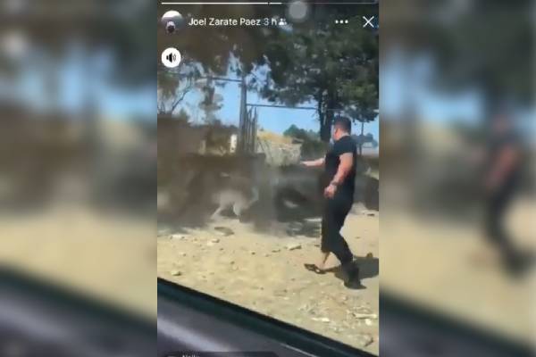 Excandidato a alcaldía de Tlaxcala captado en video en cruel ataque a un perro