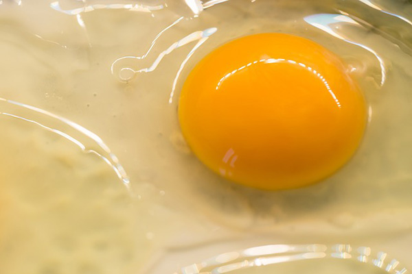 ¿Solo claras? Los mitos y verdades sobre el consumo de huevo