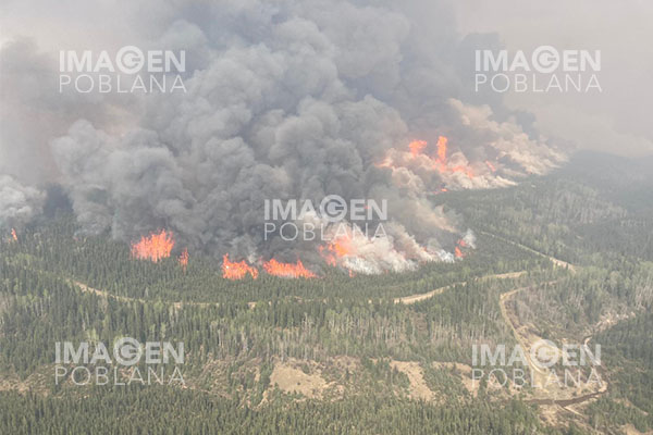 Humo de incendios forestales de Canadá cubre tres cuartos del territorio de Francia