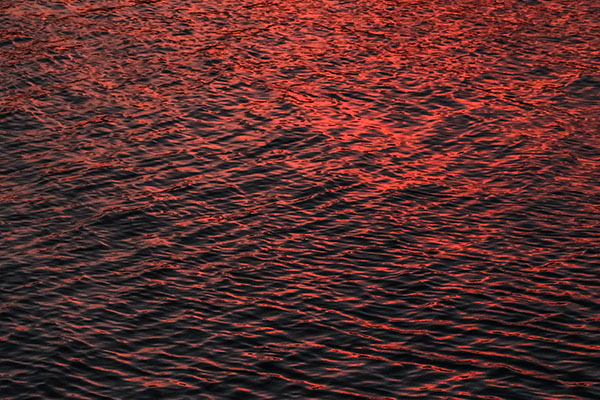 Aguas en costa de Japón se tiñen de rojo