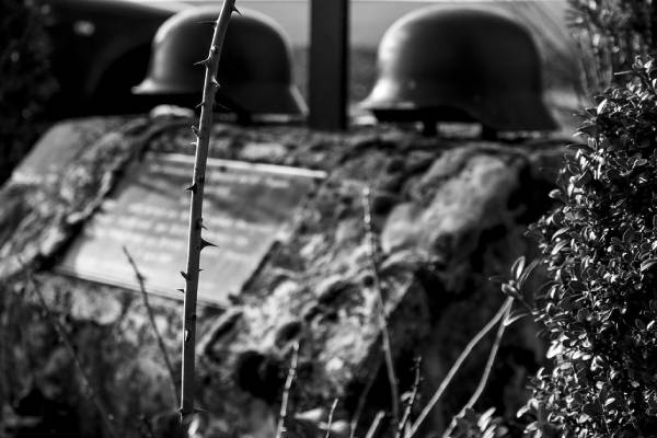 Paz global en retroceso: muertes por conflictos armados alcanzan su punto más alto en 2022