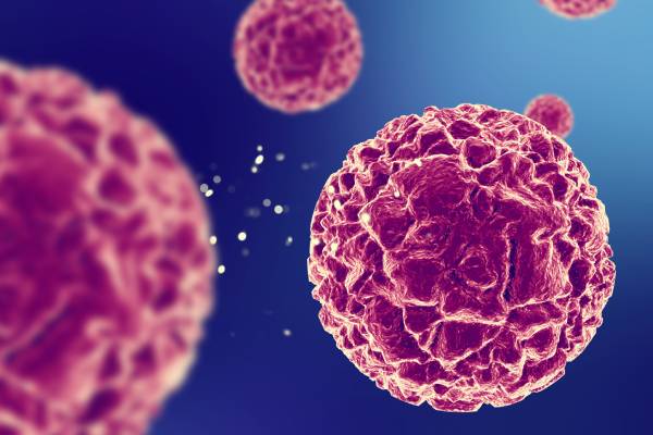 Virus Coxsackie, ¿qué es eso y cuán peligroso es?