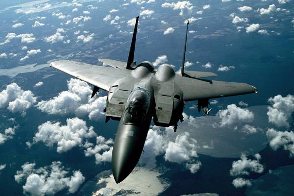 Un ave, causa del accidente aéreo durante ensayo militar en Venezuela