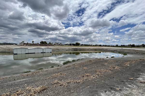"El Niño" está oficialmente de regreso: OMM alerta por clima extremo a nivel global