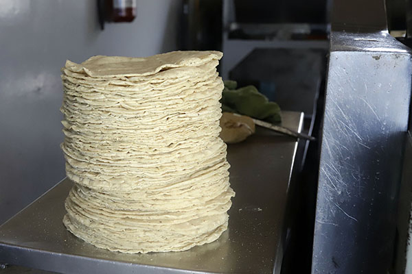 ¿De harina o de maíz? Estas son algunas consideraciones en el consumo de tortilla