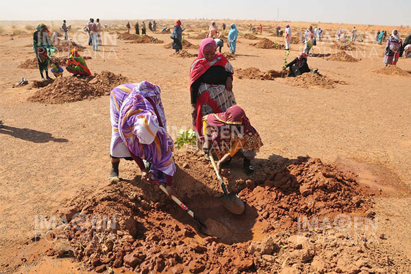 Hallan fosa común en Darfur con cuerpos de 87 personas asesinadas por FAR de Sudán
