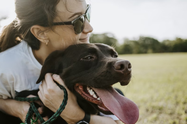 ¿Quién se queda con las mascotas? Así funciona la custodia legal en caso de divorcio