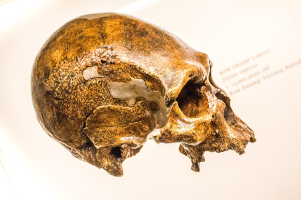 Científicos reconstruyen el rostro de una mujer de hace 45,000 años
