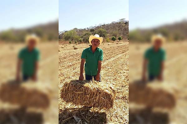 Emboscan y acribillan a regidor de Acatlán; sus hijos también mueren
