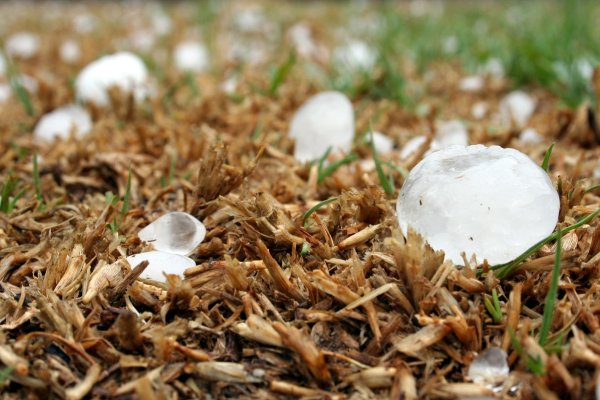 Granizos del tamaño de una pelota de golf azotan Letonia dejando aves muertas y destrucción