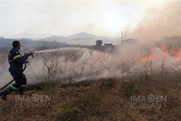 Al menos 18 muertos por un incendio forestal en Grecia