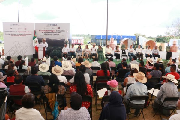 Acciones del programa “Impulso al Agave Mezcalero” detonan desarrollo de la mixteca