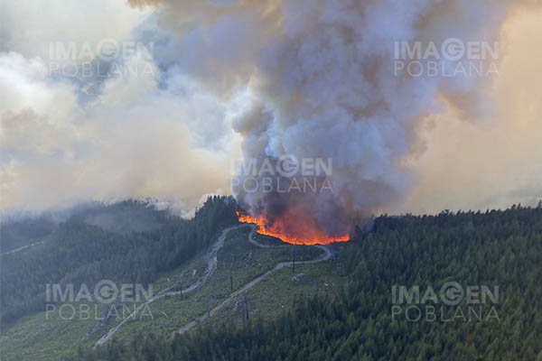 Los incendios forestales en Canadá se expanden a más de un millón de hectáreas en 10 días