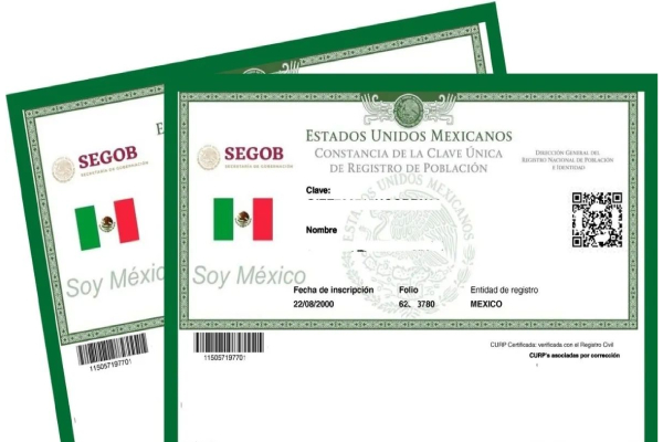 CURP con fotografía: ¿Cómo será la nueva identificación?