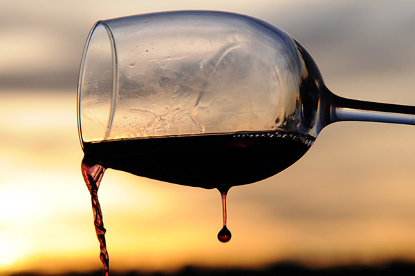 Científicos rusos han evaluado el valor nutricional de los residuos de la producción de vino