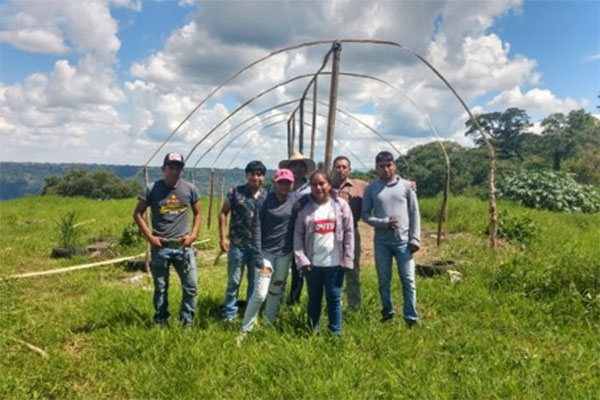 Con vivero en campus IEDEP, gobierno estatal fomenta alimentación sostenible