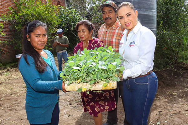Paola Angon inicia entrega de invernaderos de traspatio para incentivar la agricultura familiar