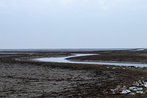 El río Negro llega a su menor caudal en 120 años a su paso por Manaos