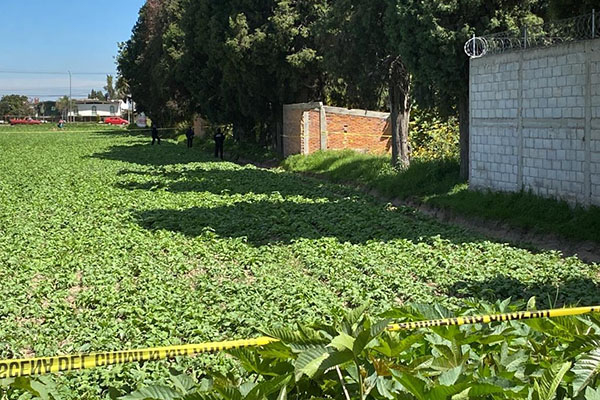 Ratas ya devoraban cadáver putrefacto dentro de una obra abandonada