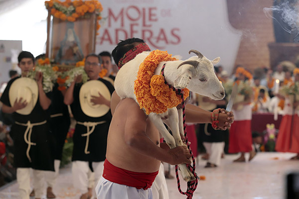 Todo un ritual: así es la crianza de chivos para el Mole de Caderas