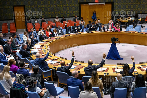 Consejo de Seguridad de la ONU rechaza proyecto de EU para Israel y Palestina