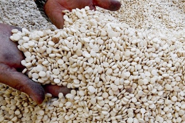 Captagón, "la droga de los yihadistas": un negocio que supera a los cárteles mexicanos