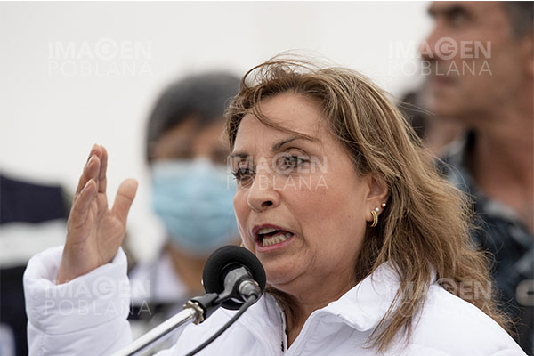 Dina Boluarte pide prescripción de investigación por presunto plagio de libro