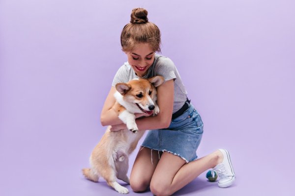 Una perrita es reconocida legalmente como "hija" de una pareja divorciada