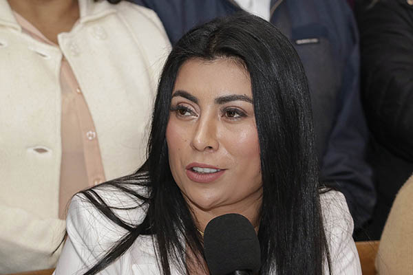 “No se menosprecia a aliados; Morena es el partido más competitivo”, asegura Nora Merino