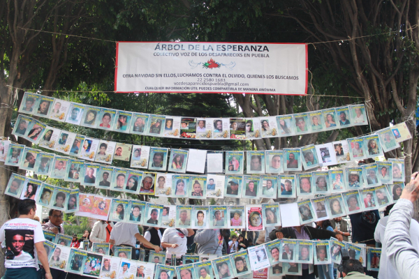 Voz de los Desaparecidos coloca el “Árbol de la Esperanza”
