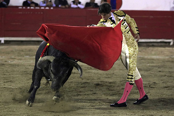Corridas de toros: AMLO propone consulta para decidir sobre su prohibición