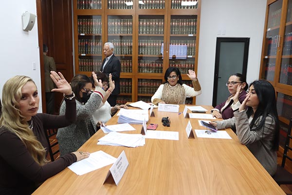 Congreso exhortará a ayuntamientos a promover inclusión y empoderamiento de mujeres con discapacidad