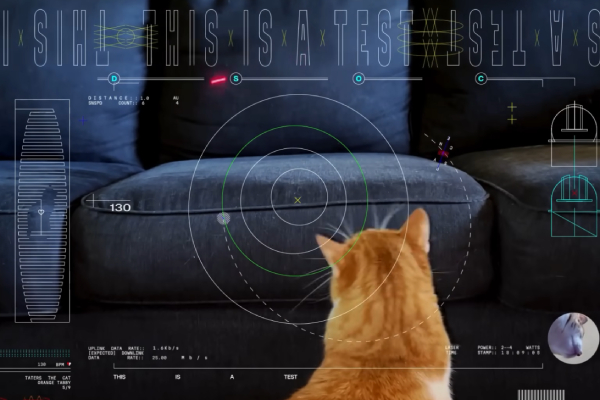 Un gato es protagonista en experimento espacial de la NASA