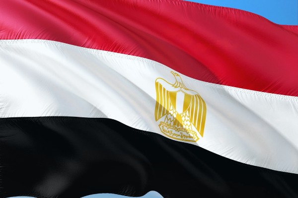Las negociaciones sobre el libre comercio entre Egipto y la UEE están en la fase final