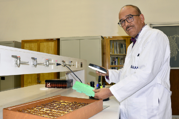 El estudio de insectos como indicadores ambientales