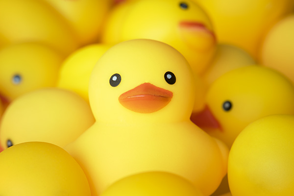 ¿Políticos y funcionarios con títulos “patito”? Esto es algo que ya se vivió en Puebla