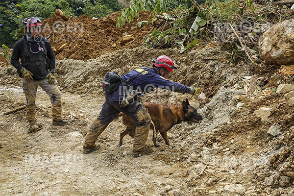 Asciende a 36 la cifra de muertos por deslave en Colombia