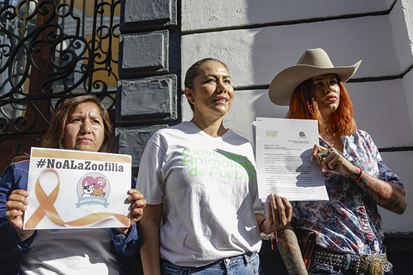 "Les falta voluntad": animalistas exigen al Congreso castigo a la zoofilia