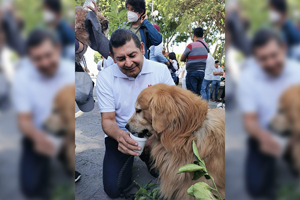 Alejandro Armenta trabaja a favor del bienestar animal